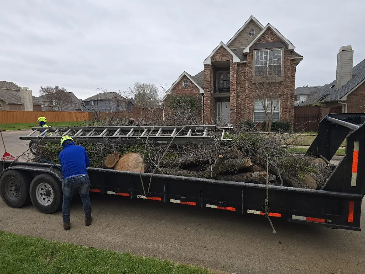 Expert Tree Fertilization with proper safety equipment in Alpine